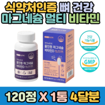 식약처인증 뼈건강 미국산 마그네슘 멀티 복합 비타민 햇빛 활성 D3 미네랄 B군 컴플렉스 120정x1통 보충제 중년 노년 실버 시니어 노인 70대 80대 타블렛 정 영양제 추천