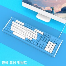 RiLeGou 유선 키보드 데스크탑 노트북과 사무용 공용 타자 게임 투톤 무소음키보드, 흰색