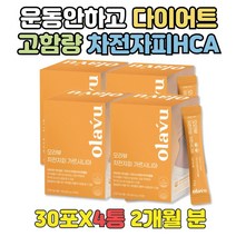 운동안하고 효과좋은 다이어트 HCA 차전자피먹는법 급 과식했을때 독소배출 단기 DIET 10대 청소년 중학생 고등학생 가르시니아 가르니시아 캄보지아 체지방량감소 건강한 도움