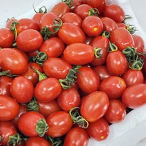 대추 방울토마토 5kg 로얄과 완숙 찰 토마토 유럽종 동양종, 5kg 로얄과 1-2번, 1개