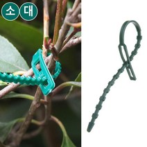가든타이 작물고정 식물 가지 묶기 고정용 끈, 대