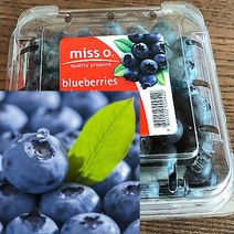 칠레 생 블루베리 생과 미국산 국산 생 블루베리 125g, 12팩