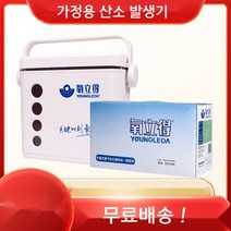 가정용 산소호흡기 산소발생기 휴대용 고압산소치료기 오투산소발생기 노인, 02.산소발생기(A 2봉 + B제 1봉 포함)
