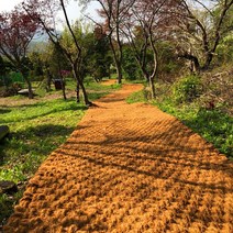 코코매트 야자매트 식생매트 1x10M / 1.5x10M / 2x10M, [CM1010] 1M(폭) x 10M(길이), 1개
