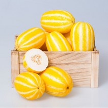 바른식탁 성주참외 가정용 4.5kg 소과, 1