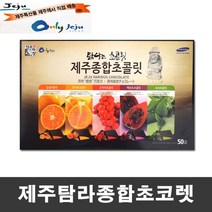 제주특산품 한라봉 귤 오미자 초코렛 초콜릿 50개입