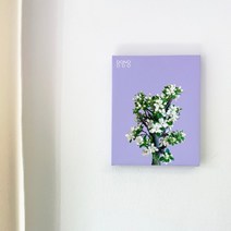 캔버스액자 – 애기사과나무, 애플