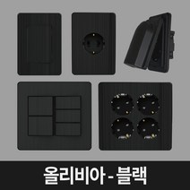 올리비아 블랙 상도 스위치 매입콘센트 USB 방우형 누전 8P 모듈라 CATV 복합콘센트 맹커버 보조대, 8P모듈라2구+CATV (1개용)