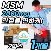 [관절] MSM 엠에스엠 식이유황 무릎 영양제 관절 추천 무릅이 아파요 건강 소리 음식 식용유황 글루코사민 초록입홍합 굴르 글느 코사민 고사민 어깨 손 손목 허리 어깨 좋은 선물