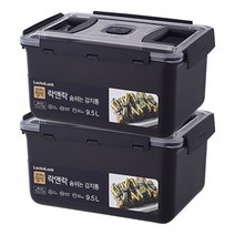 락앤락 김치통의 정석 숨쉬는 김치통, 2개, 9.5L