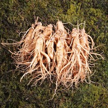 금산인삼 수삼 난발삼대 무료세척 1채 750g 10~13뿌리, 무료세척(약50g감량), 1개