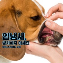 재그코퍼레이션 고양이 강아지 애견 애묘 입냄새 스케일링 치석제거기 치주염 프라그오프 스켈링 치아관리 스케일러, 1개, C형