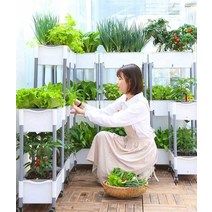 다단식 야채 화분 특수 선반 옥상 발코니 실내 정원, D202 바퀴 3단 A형