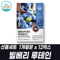 빌베리 루테인 비타민A 비타민E 마리골드꽃 금잔화