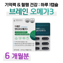 하루1알 브레인 알티지 오메가3 은행잎 플라보놀배당체 rTG 오메가스리 직장인 회사원 택시 버스 택배 배달 운전 기사 현장직 사무직 혈액순환 혈행개선 기억력 개선 도움, 6박스, 1220mg x 30캡슐 (하루 1캡슐)