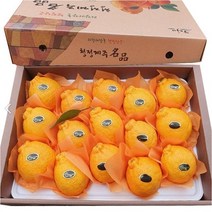 프리미엄 제주 한라봉 3kg 5kg 선물용 가정용 제주도 한라봉 명절 선물세트 산지직송, 1_한라봉 가정용 로얄과 2kg