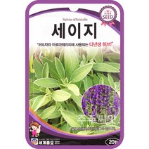 세이지 씨앗 20립 허브씨 다년생허브 약살비아, 단품