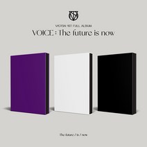 빅톤 (VICTON) 1집 정규앨범 [VOICE : The future is now], The future(보라), 포스터없음