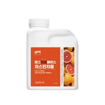 흥국에프앤비 맘스리얼베이스 자스민 자몽 1kg, 아이스박스포장