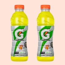 게토레이 레몬 600ml 20펫, 20개