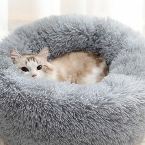 jc_마약방석 고양이방석 60cm) (50cm 보들애견방석 애견방석 보들보들 반려동물방석 강아지방석, 60cm/코랄