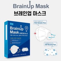 LPR105851산소마스크 새니글로벌 화이트대형5매입 브레인업, A^상품선택B^