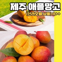 제주 애플 망고 신라호텔 납품 A++, 중과 2kg(9과 내외), 1개