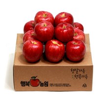 행복농원 문경사과(부사) 2kg, 1박스, 2. 행복농원 중과 2kg(7~8과)