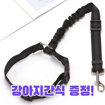 강아지 안전벨트 차량용 반려견 목줄 애견 충격흡수 리드줄, 스카이블루+츄르영양제