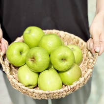 가정용흠집 썸머킹 아오리 꼬마과-소과 5kg 23-28과 여름햇사과