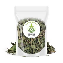 국내산 황칠나무 잎 황칠나무차 250g, 없음, 1개