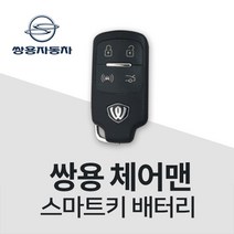 체어맨 스마트키 건전지 키 전용배터리 차키 건전지 밧데리, 10개