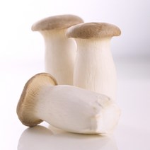 새송이버섯, 5봉, 300g