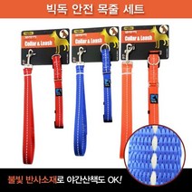RT 강아지 외출용품 빅독 안전 목줄세트(특대)25mm, 단품, 쿠팡 본상품선택