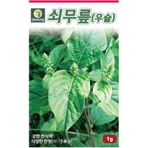 다농 익모초 1g - 씨 씨앗 익모초씨앗 익모초씨 산야초 육모초 나물씨앗 민속채소 채소씨 채소씨앗, 24_다농_쇠무릎(우슬)(1g)