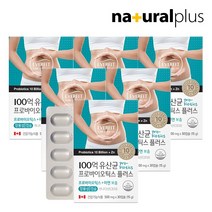 에버핏 장용성 100억 유산균 프로바이오틱스 30캡슐 6박스 / 신바이오틱스 아연