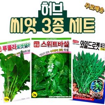 씨앗팜 허브 씨앗 3종 세트 루꼴라 스위트 바질 와일드 루꼴라 씨앗 종자 허브씨, 1개