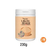프랑스 GG유산균 분말 가루 신바이오틱스 락토바실러스 람노서스gg 유익균먹이 3세대 유산균 프로바이오틱스 프락토올리고당 제품 대용량, 2통