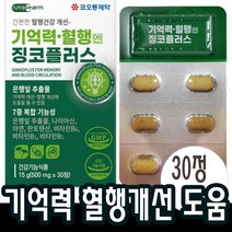 징코플러스 은행잎추출물 혈액 순환 에 좋은 두뇌 기억력 영양제 혈행 개선 도움 뇌 약1개월분