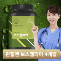 관절연골엔 보스웰리아효능 보스웰릭산 1 000mg 120정
