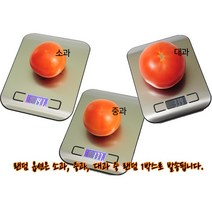 완숙 찰 토마토 5kg 소 중 대과 정품, 토마토5kg 랜덤(소과or중과or대과)