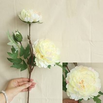 오브제 화병 단일 모란 장미 시뮬레이션 가정 결혼식 장소 레이아웃 휴대용 가이드 공장 벽 액세서리, 1pc, 02 champagne