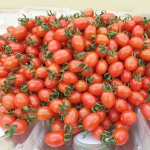 [아침마당] 대추방울토마토(대과) 2KG 2개 구매 시 1KG추가! 총 5KG배송, 2kg(대과), 1개