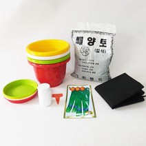 부추키우기 7종, 단품