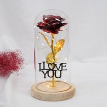 굿라이프 토퍼문구 홀로그램 LED 장미 유리돔 무드등 레드꽃 우드받침대, 02.I Love You