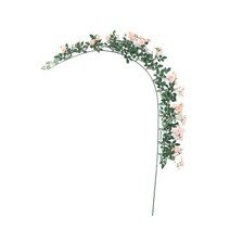 치자나무 열매 묘목 꽃나무 목수국 명자나무 능소화, 보라색 1.8 미터