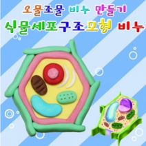 뉴 오물조물비누 식물세포구조모형(10세트)