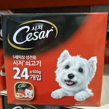 CESAR 시저 애견사료 / 소고기 100g X 24캔 코스트코