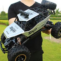 스카이RC 4륜구동 성인용 초강력 오프로드 대형 괴물 RC 카, 37cm(35km/실버), 1개