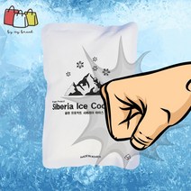 비엠비 때리면 시원해지는 휴대용 아이스 쿨팩 10P 아이스팩 냉찜질 아이싱 얼음팩 쿨패치, 아이스팩 10P